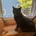 Mary Lou Stpeter - Facebook
