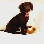 Mary Strachan - @outandaboutwithlola - Instagram