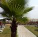 Mary Palace Strand - Facebook