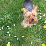 Mary Strand - @mary.j.oneill.56 - Instagram