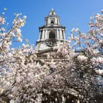 St Mary le Strand - @stmarylestrand - Instagram