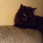 Mary - @marystrawser4 - Instagram