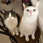 Mary Strehl - @strehl_mary - Instagram