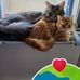 Mary Streight - Facebook