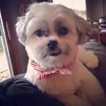 Mary A. Stricker Larson - @strickerlarson - Instagram