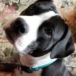 Mary Lou Lucas Stricker - @nannagans - Instagram