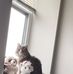 Mary Stryker - Facebook