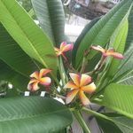 Mary Stringer - @mothercoonass - Instagram