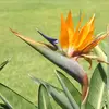 maryannstrohmeyer - @maryannstrohmeyer - TikTok