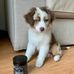 Mary Strooman - Facebook