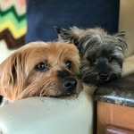 Mary Ozoroski Stroop - @max_jil - Instagram