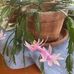 Mary Clements Stroupe - Facebook