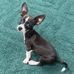 Mary Stroupe - Facebook
