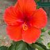 Mary Struber - Facebook