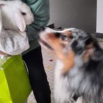mary jeanne struchen - @maryjeanne.struchen - Instagram