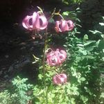 Mary Jeanne struchen - @stmaryjeanne - Instagram