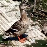 Mary Jeanne Struchen - @struchenmaryjeanne - Instagram