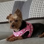 Mary Struck - @marrox1949 - Instagram