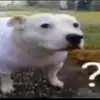marystrunk967 - @marystrunk967 - TikTok
