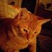 Marion Studzinski - Facebook