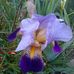 Mary Stutz - Facebook