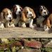 Mary Styer - Facebook