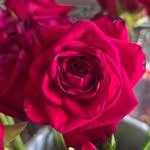 Mary Carolina Subero Flores - @marysubero - Instagram