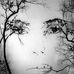 Mary Sugden - Facebook