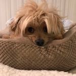 Mary Lou Suiter-Williams - @marysuiterwilliams - Instagram