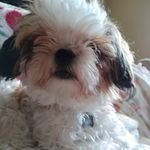 Mary suiter - @marysuiter4 - Instagram