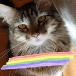 Mary Suman Franks - @emmominva - Instagram