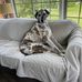 Mary M Summerfield - Facebook