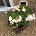 Mary Summerfield - Facebook