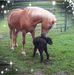 Mary Summerfield - Facebook
