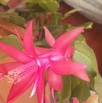 Mary Suppa - Facebook