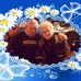 Myra Suski - Facebook