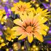 Mary Crist Svec - Facebook