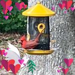Mary Ellen Honeycutt Swails - @mswails2137 - Instagram