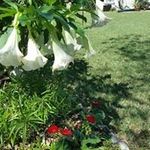 Mary Ellen Swails - @maryellenswails - Instagram