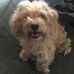 Mary Sward - Facebook
