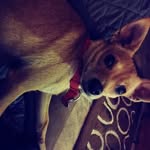 Mary E. Sweatman - @marye.sweatman - Instagram