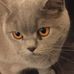 Mary Sweeting - Facebook