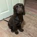 Mary Swingler - Facebook