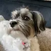 marysyms - @marysyms - TikTok