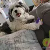 marytabata1 - @marytabata1 - TikTok