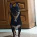 Mary Tabone - Facebook