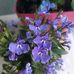 Mary Tabone - Facebook