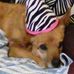 Mary Tackney - Facebook