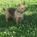 Mary Talarico - Facebook