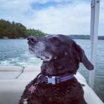 Mary Saunders Talbott - @themarytalbott - Instagram